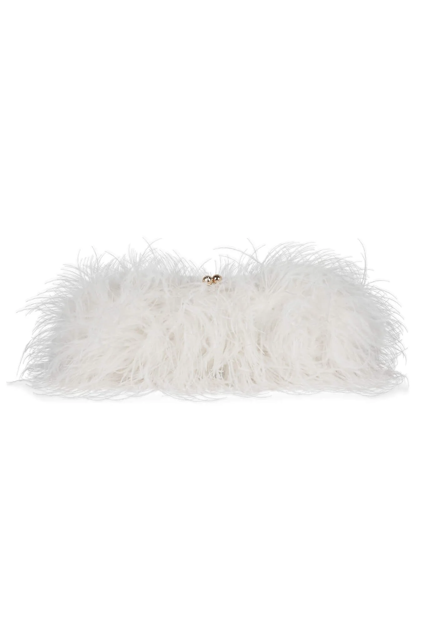 ANIMAL-F - Image 16