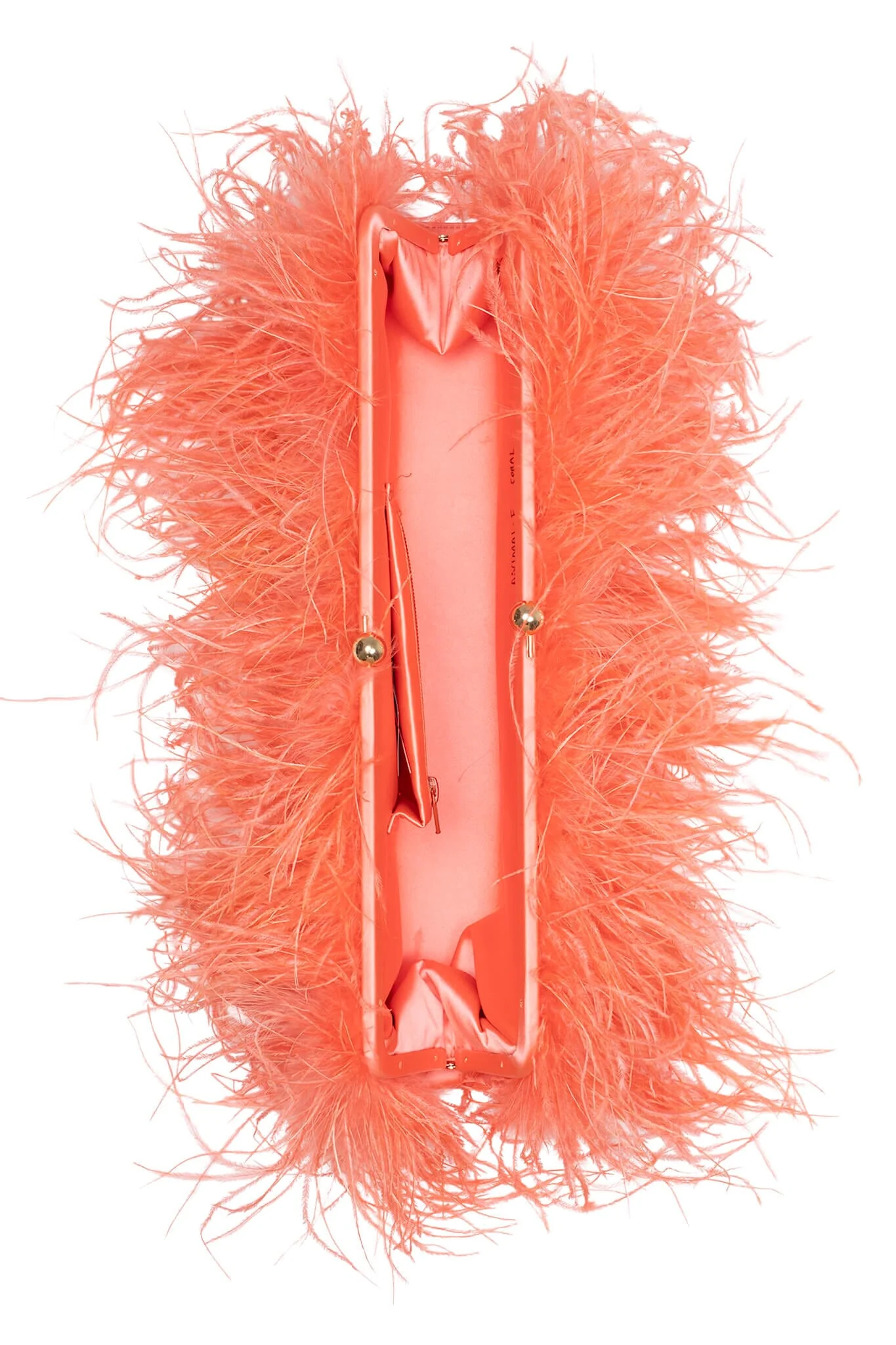 ANIMAL-F - Image 5