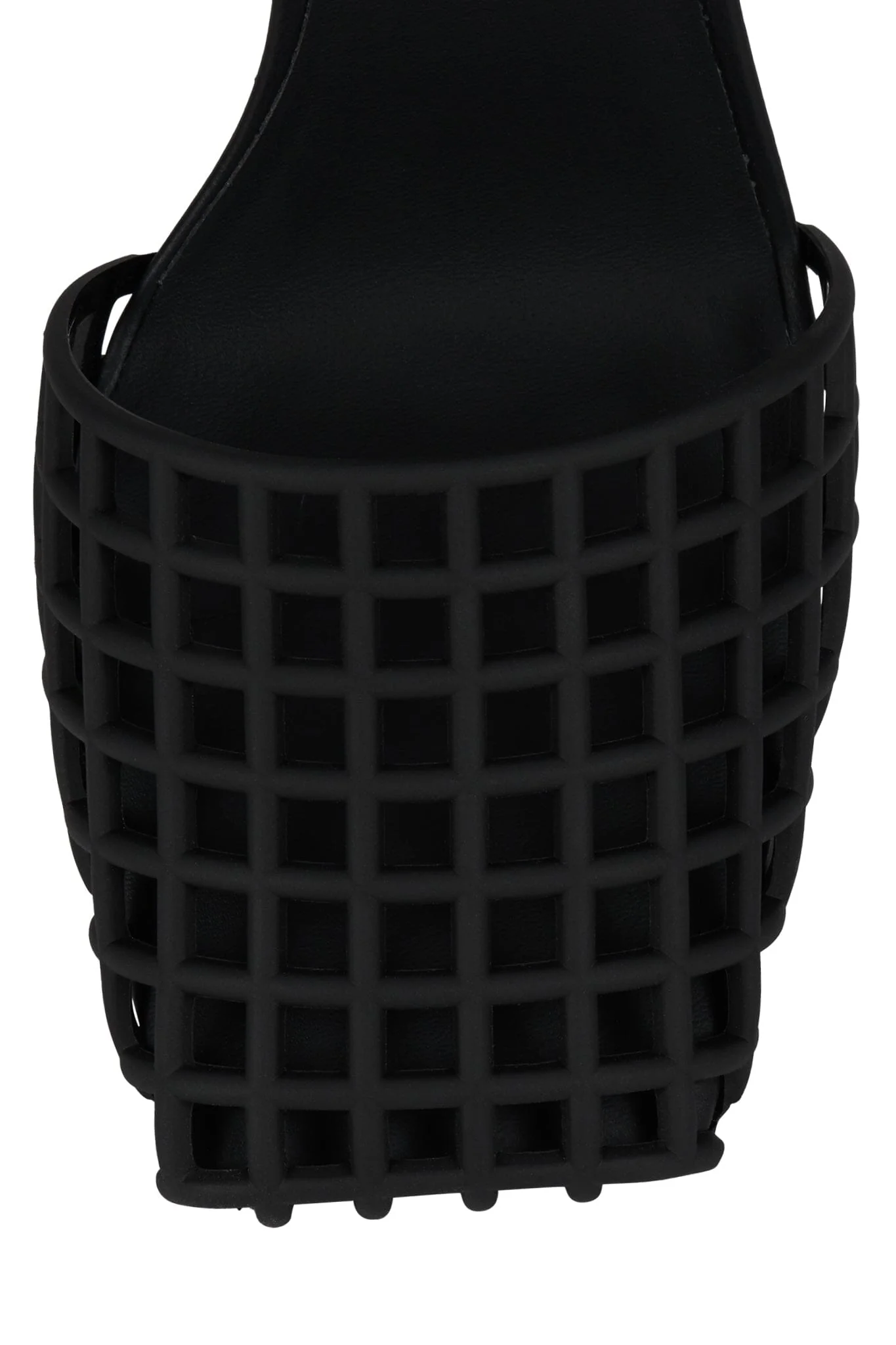 AVIARY - Image 4