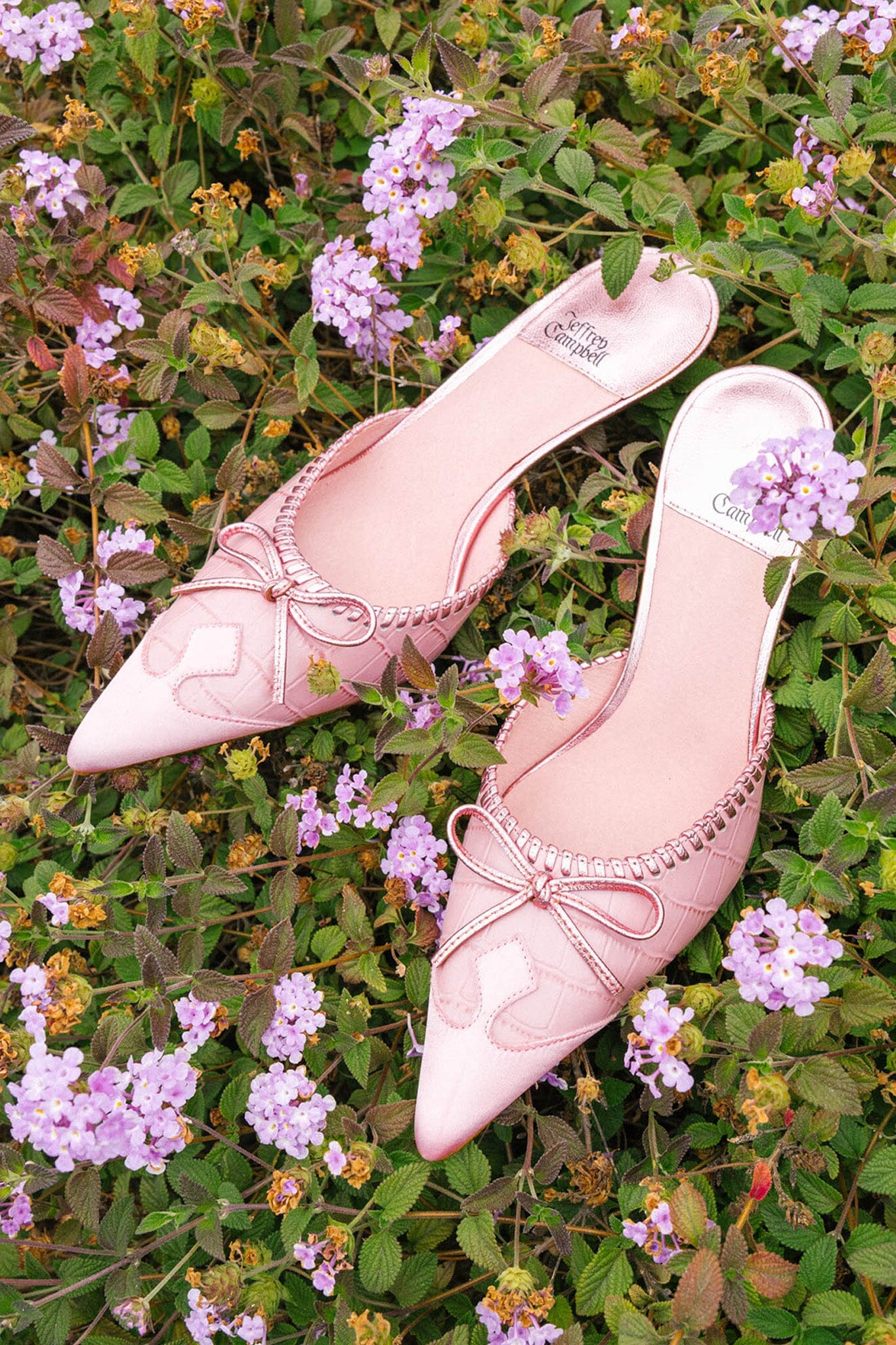 CLARABELLE - Image 14