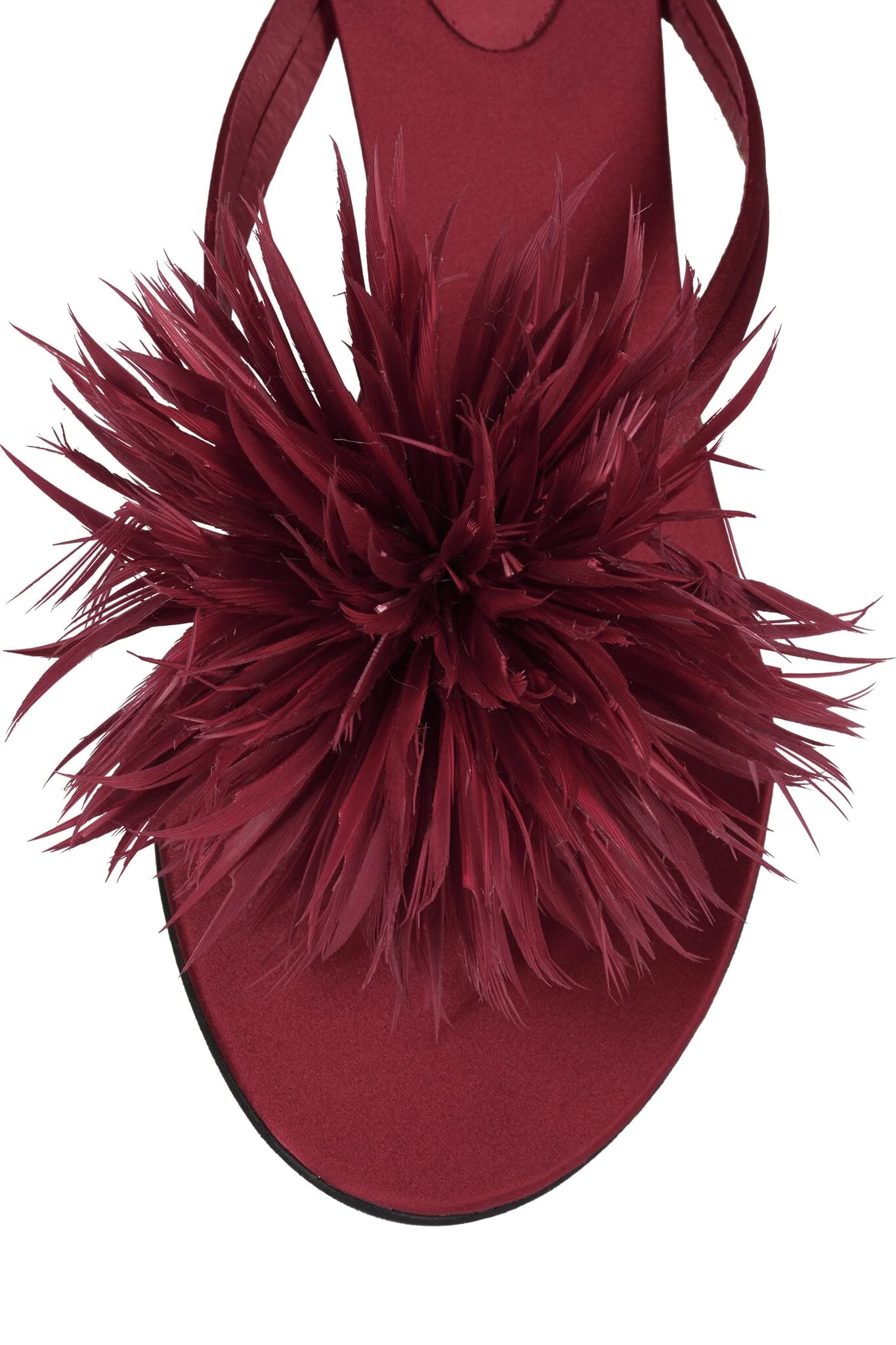 FIREWORK - Image 16