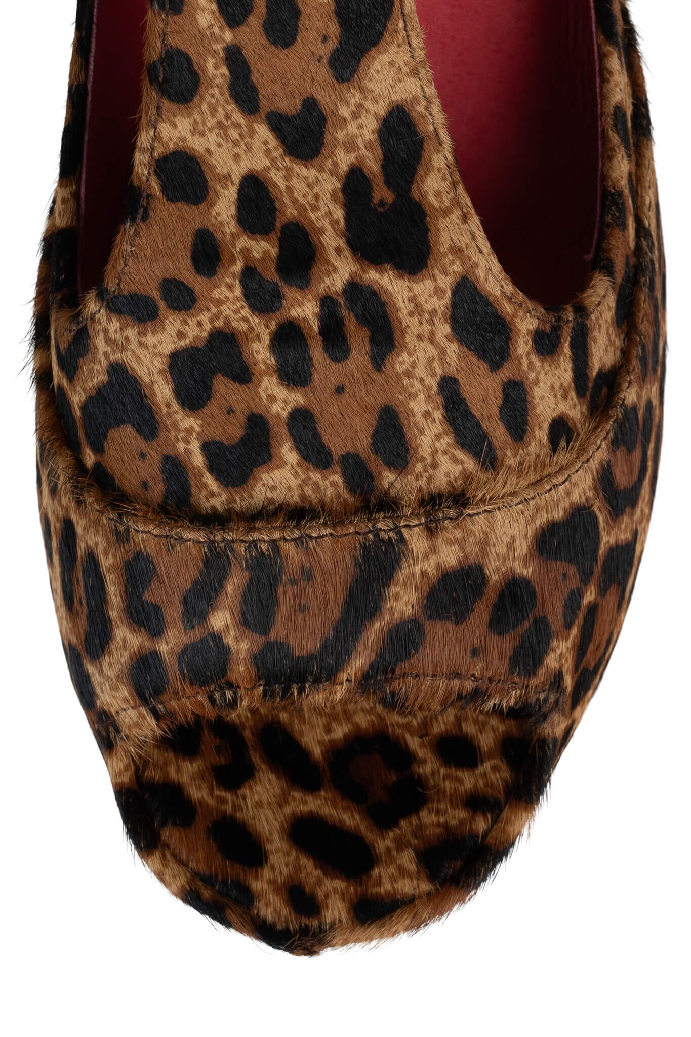 FOXY-WD-F - Image 4