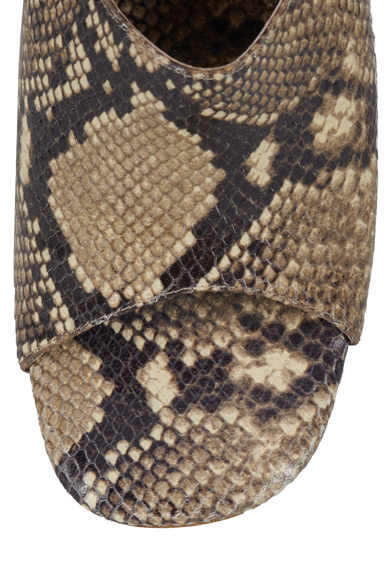 GIAH-2 - Image 5