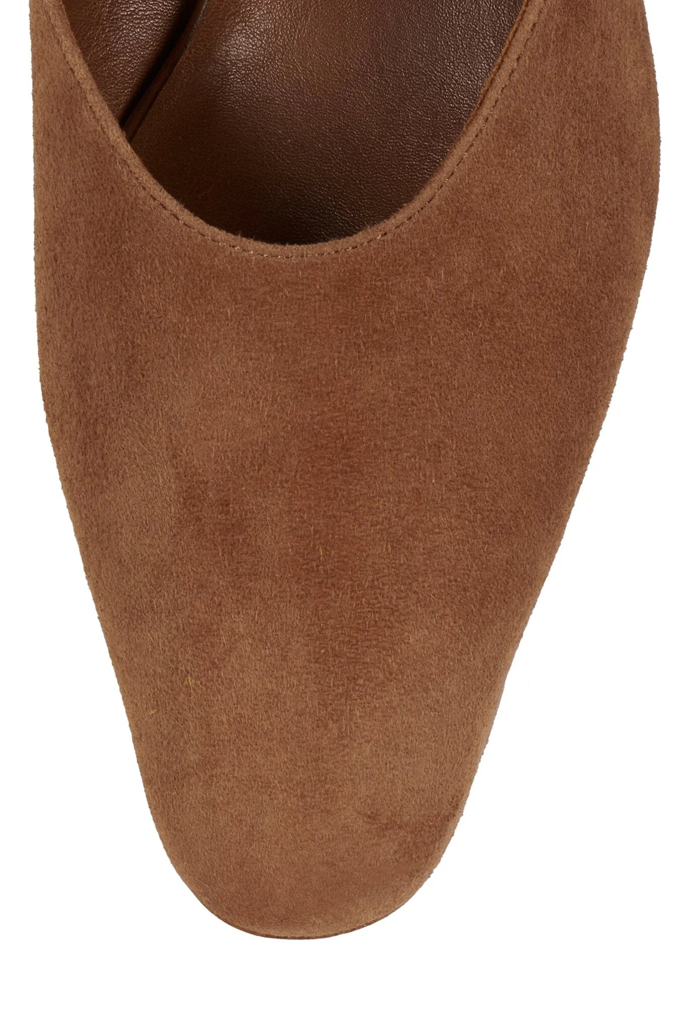 MOLLY - Image 14
