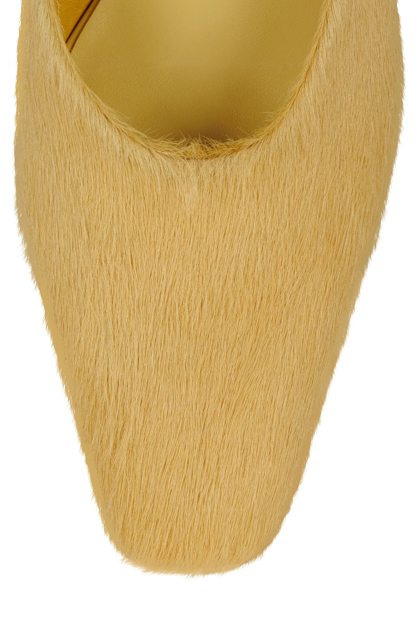 MOLLY-2F - Image 8