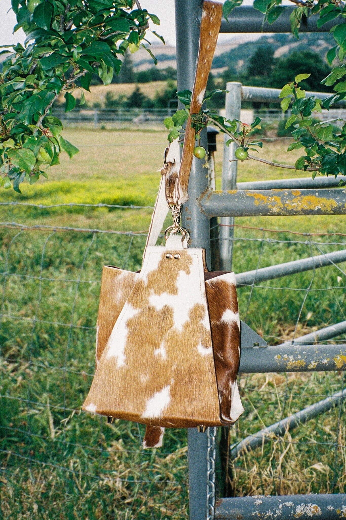 NOMAD-F - Image 2