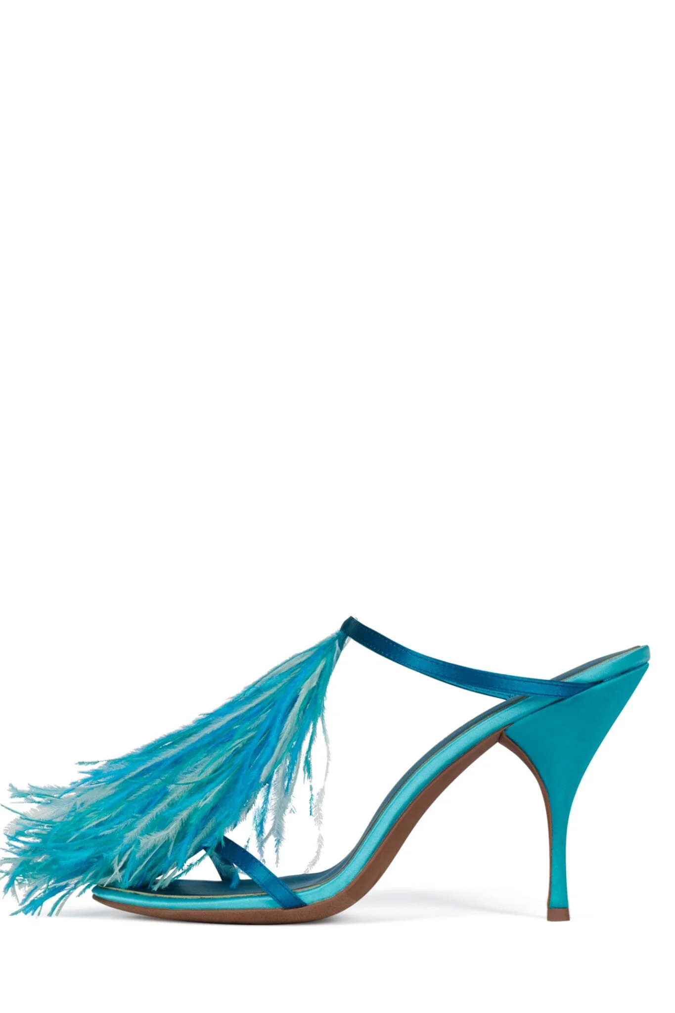 PLUMA