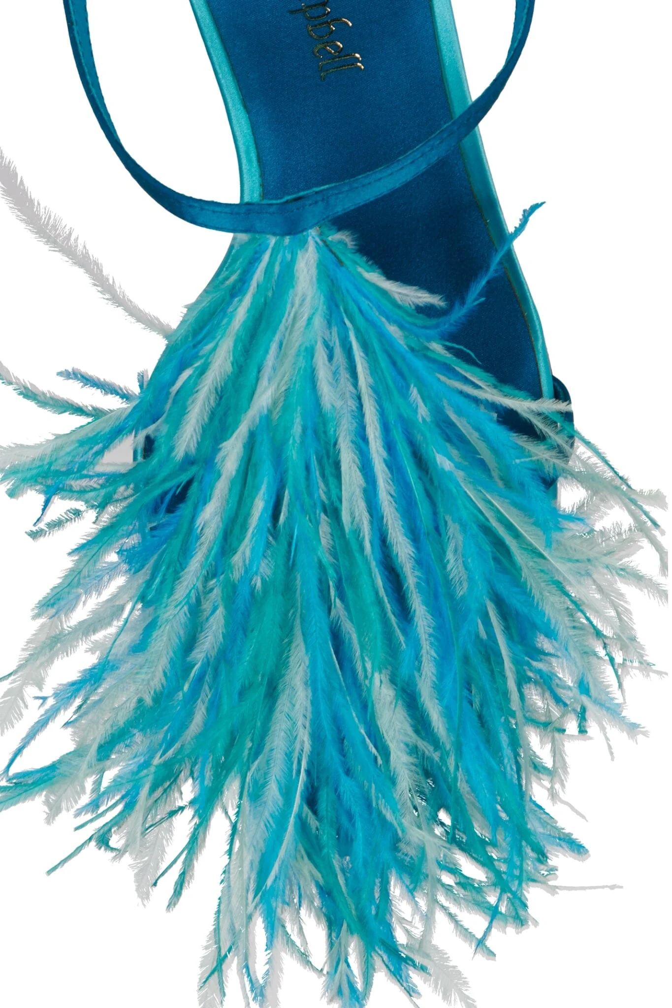 PLUMA - Image 4