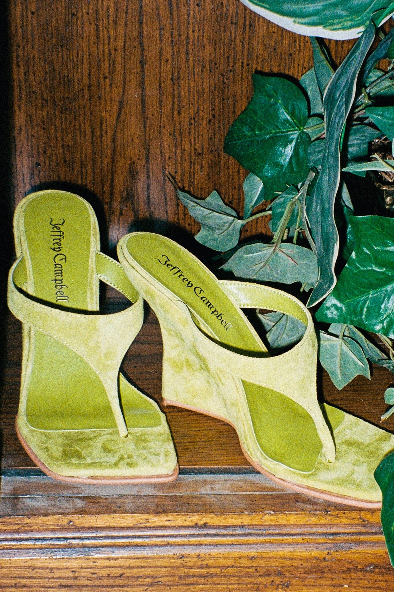 ROMEE - Image 5