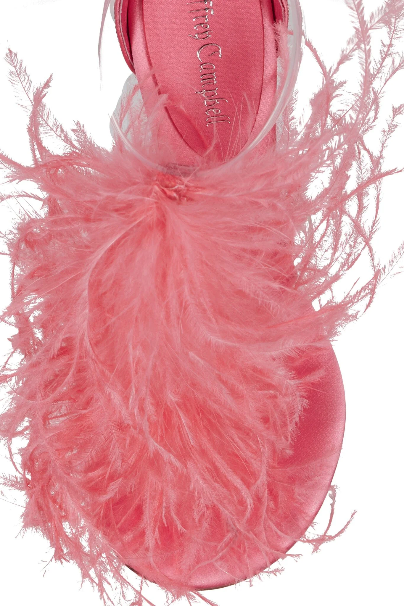 SALSITA - Image 4