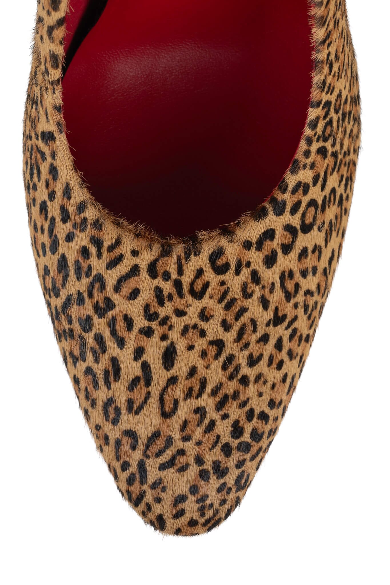 SPECTACLE - Image 5