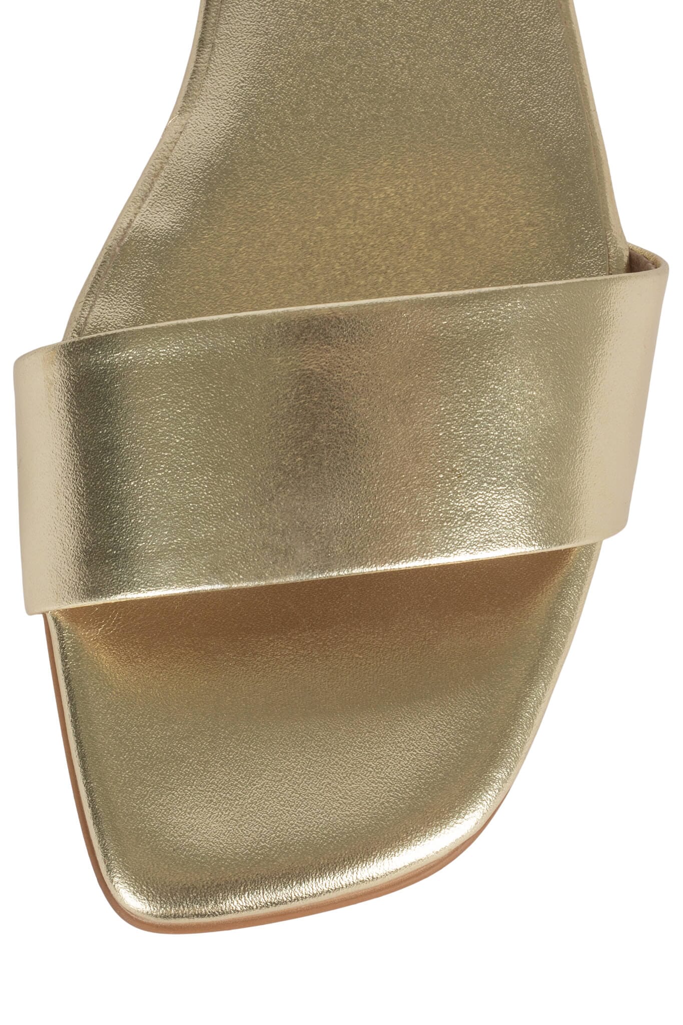 VELLUM - Image 4