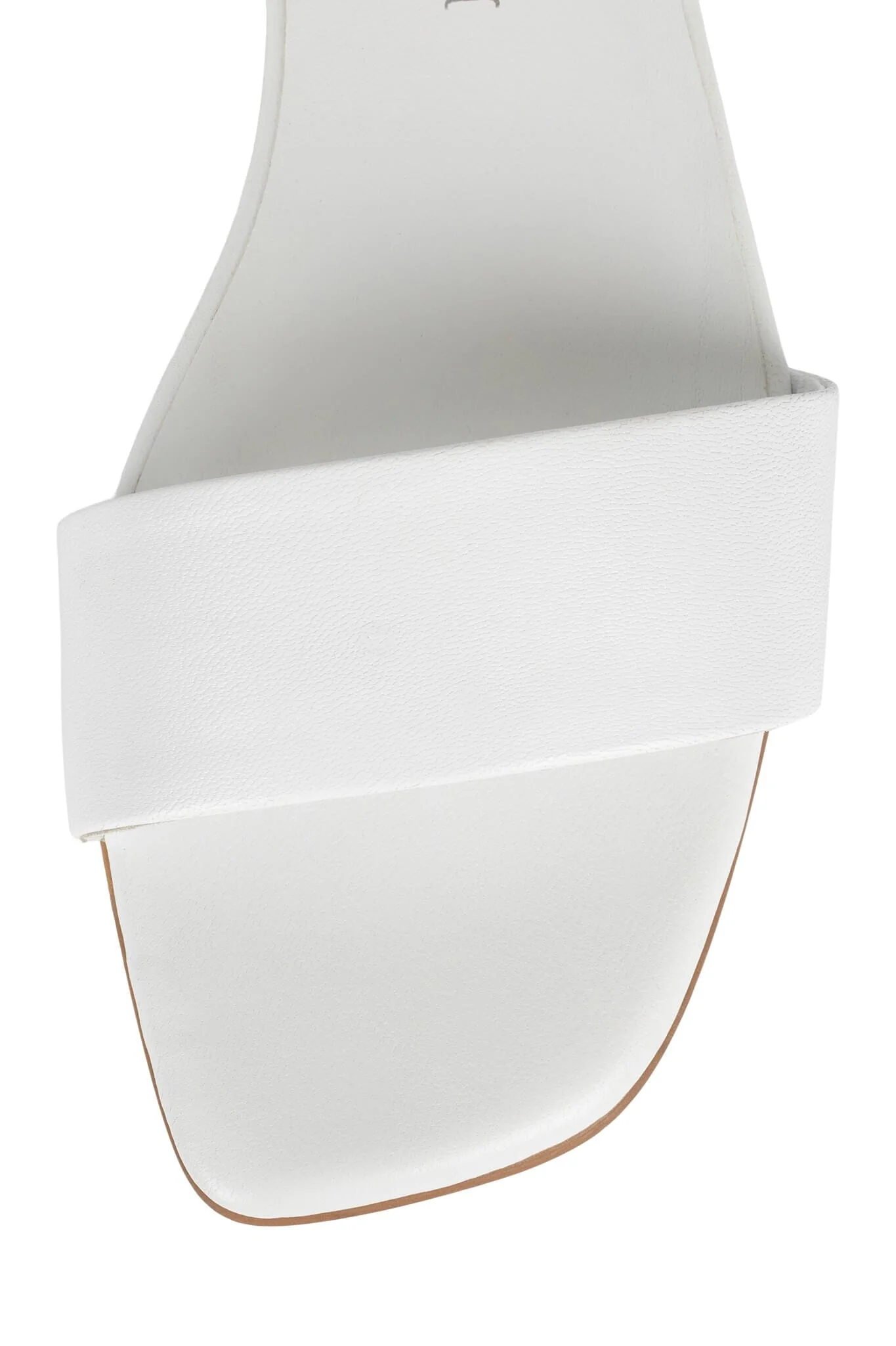 VELLUM - Image 8